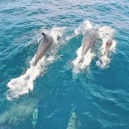 Belize By Algarve Vacation Villa *