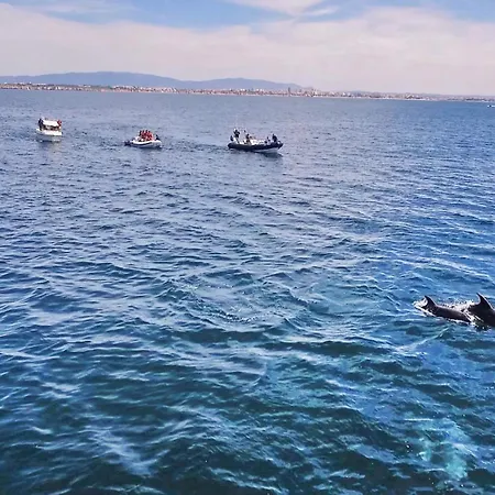 Villa Belize By Algarve Vacation